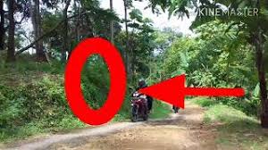 Tempatnya sangat asri serta nyaman sekali untuk berlibur bareng keluarga, teman, atau bareng pasangan. Eksplore Puncak Pinus Loji Bareng Bikers Karawang Youtube