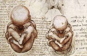 Image result for arte omosessuale