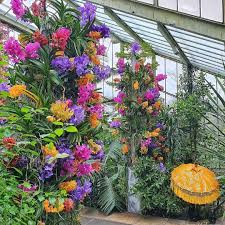 Kew Gardens On Instagram We Love Seeing All Of Your Colourful Keworchids Photos These Are A Few Of Our Favourites Thanks To Jim And His Phone Burt