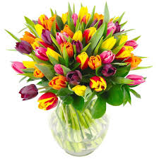 Decorators and home designers can make good use of these. Mixed Tulips Fresh Flower Bouquet Colourful Tulips Delivered Direct To Your Door