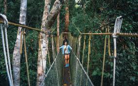 Read about a visit to taman negara, malaysia. Taman Negara The World S Oldest Rainforest The Backpacksters