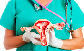 Resultado de imagem para ginecologia