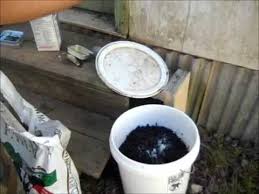 At that ratio, the yield would be about 80 gallons of mixed fertilizer. Making Fish Emulsion Fertilizer Youtube