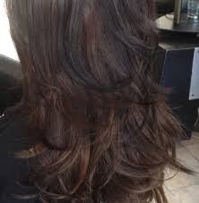 If your hair is light, try a golden, caramel brown. Highlights And Lowlights For Dark Brown Hair Novocom Top