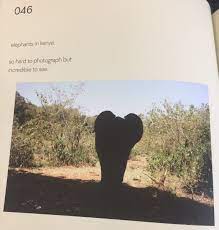 Brooklyn beckham's art is moving off of social media and onto the printed page. Alice Jones On Twitter Huge Fan Of Brooklyn Beckham S Terrible Photographs And Even Worse Captions