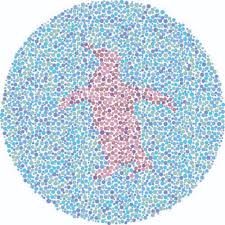 Another form of color blindness comes with age. Color Blind Test For Kids