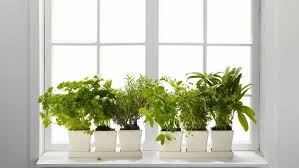 If you don't have a yard (and even if you do), you can bring some plants into your life by creating some window boxes for your sills and balcony. 45 Window Sill Decoration Ideas Original And Creative Design Ideas