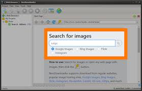 Go to google search and search for what you want 2. How To Download Images From Google Images Neodownloader