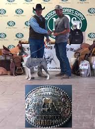 Zillow has 94,944 homes for sale in texas. Hangin Tree Cowdogs Training And For Sale Diamond J Stockdogs Granbury Tx Cowdogs