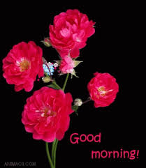 A collection of good morning gif image images, pictures, comments for facebook, whatsapp, instagram and more. Good Morning Flowers Gif Good Morning Flowers Discover Share Gifs