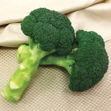 Smooth crowns have minimal bract leaves during hot weather. Broccoli Horticultural Products Services