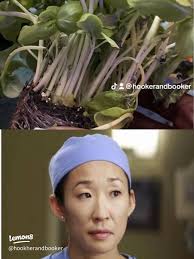 バジルを黒くさせない保存法の完全ガイド