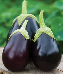 How To Grow Eggplant Vegetable Seeds And Plants Gardening
