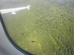 La selva paranense posee en toda su extensión 2.000 plantas vasculares y el sector argentino exhibe la diversidad. Volando Sobre La Selva Paranaense Picture Of Iguazu National Park Province Of Misiones Tripadvisor