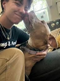 Little grey Bella is still available ❤️