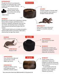 Hasidic Hats Explained From Segula Magazin Judaism
