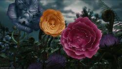 Join the timeless adventures of alice in wonderland, the white rabbit, the. The Flowers Alice In Wonderland Wiki Fandom