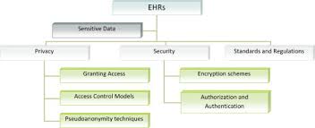 Type of access required (under the health records act 2001 victoria). Security And Privacy In Electronic Health Records A Systematic Literature Review Sciencedirect