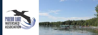 Fishing In Pigeon Lake, Ontario | Pigeon Lake Resort | (705) 738-2333 |  Trent Lakes Ontario