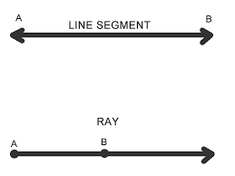 Alex and hunter play soccer, but don't play tennis or volleyball. An In Depth Overview Of Geometry Terms And Formulas