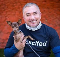 Épinglé par Sherry Garrett sur the dog whisperer