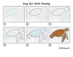 Easy Sea Turtle Drawing - Helloartsy