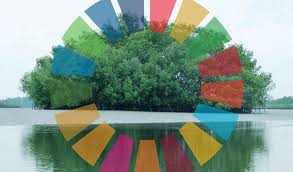 Mangroves And The Sdgs Sdg Function Stacking Is Permaculture Sustainable Development Goals Sustainable Development Permaculture