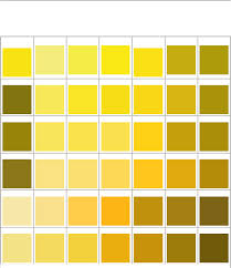 Pms Color Chart