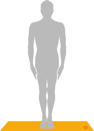 What Is Samasthiti Definition From Yogapedia