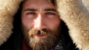 Keeping the scalp bald and growing an epic beard is also an optimal way to battle thinning hair or male pattern baldness. Viking Beard Style How To Do It Like A True Viking Wild Willies