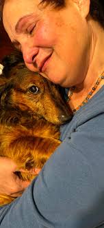 Grief and support for loss of a beloved pet