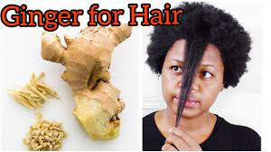 Will ginger help hair loss? How To Use Ginger For Hair Growth Ginger For Dandruff Prevent Hair Loss With Ginger Youtube