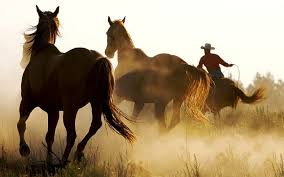 Free horses grazing country nice wallpaper. Page 2 Countries Hd Wallpapers Free Download Wallpaperbetter