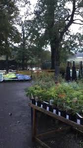 Slemish Market Garden Fruit Vegetable Shop Ballymena Facebook 1 Review 2 325 Photos