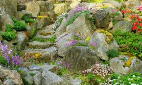 How to plant plants in a rock garden. Your Guide To Choosing Rocks And Plants For A Rock Garden Smart Tips