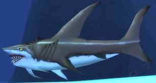 Гигантские акулы (cetorhinidae, cetorhinus maximus). Requin Pelerin Pnj Tbc Classic