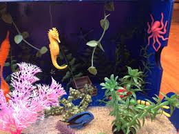 Coral Reef Diorama It Turned Out Great Biomes Project Biomes Diorama