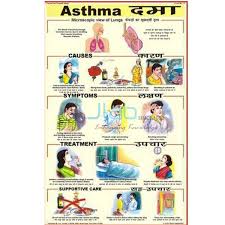 Asthma Chart India Asthma Chart Manufacturer Asthma Chart