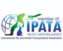 It seemed daunting at first, but it was. Pet Relocation Services Shipping Transport Services Jetset Pets