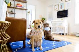 But i never knew 'bout the little things. Kim S Final Reveal It S The Little Things Apartment Therapy