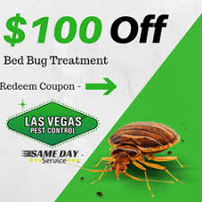 Read more about bed bugs. Las Vegas Pest Control 204 Reviews Pest Control 3011 Rigel Ave Las Vegas Nv United States Phone Number Yelp