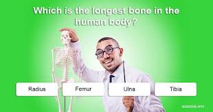 Trivia quizzes are a great way to work out your brain, maybe even learn something new. Which Is The Longest Bone In The Human Body Trivia Quizzes Trivia Human Body