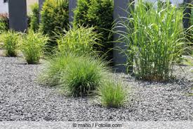 Kiesbeet Selbst Anlegen Anleitung Und Pflanz Tipps Gartenlexikon De