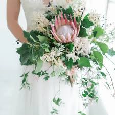 Image result for Protea