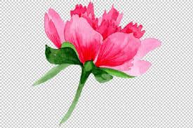 Download Peony Svg Cut File Free Svg Cut Files Create Your Diy Projects Using Your Cricut Explore Silhouette And More The Free Cut Files Include Svg Dxf Eps And Png Files SVG Cut Files