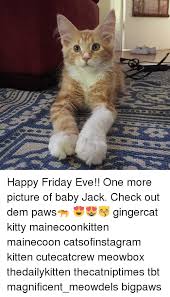 Happy friday eve cat meme. Happy Friday Eve Cat Meme Novocom Top