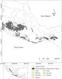 It and the other member of the same genus, the gila monster (heloderma suspectum), are the only lizards known to have evolved an overt venom delivery system. Aversive Hunting And Sight Frequency Ecology Of Beaded Lizards Squamata Helodermatidae Sciencedirect