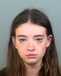 31-year-old ZACHARY PERRIN from Manatee County, Florida was arrested