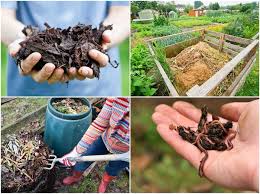 Find out how to make your own garden compost, with tips on materials to add and how to speed up the process. Composting 101 Create Compost That Works Like Rocket Fuel For Your Garden