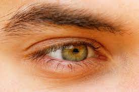 Hazel Eye Color What Causes Hazel Eyes Hazel Eyes Blue Hazel Eyes Hazel Green Eyes